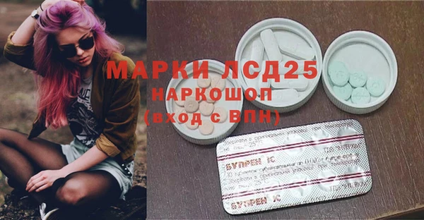 мяу мяу мука Бородино