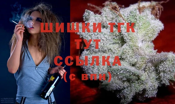 мяу мяу мука Бородино