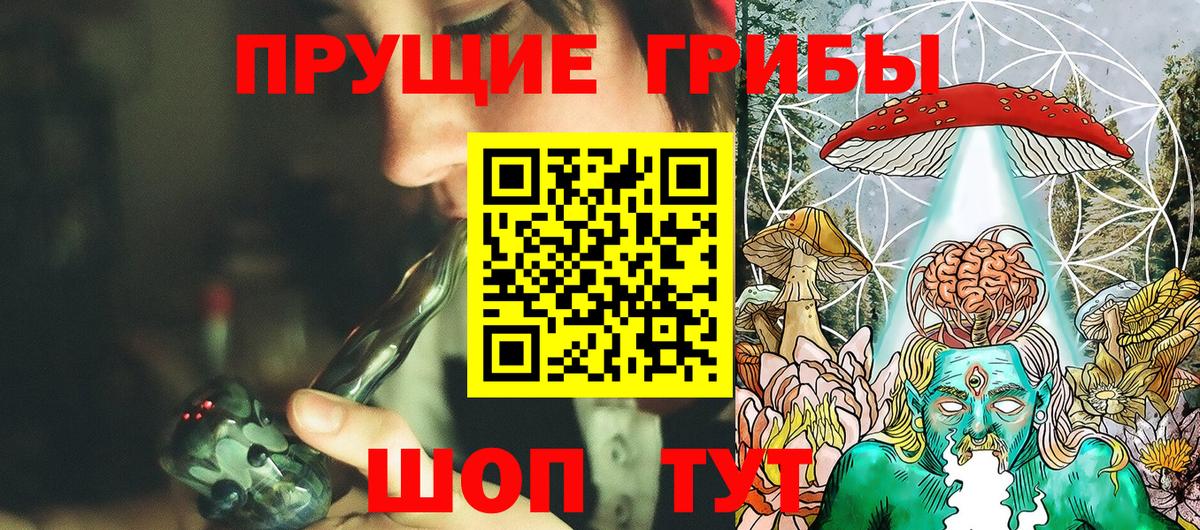 Выборг  Галлюциногенные грибы Psilocybe  Вход с VPN 